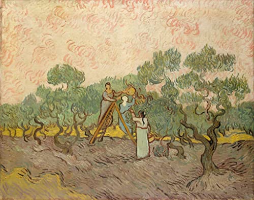 Cuadro de Van Gogh de la obra Los Recolectores de Aceitunas para decoraciones del hogar