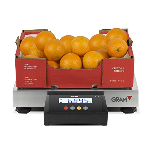 Balance plate-forme professionnelle 40x30cm - 60kg /10g