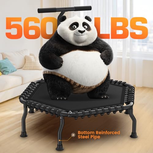Image of ANCHEER 50 inch Rebounder Trampoline for Adults- 2026 Foldable Mini Trampoline with Bar- Exercise Trampoline for Adults, Max Load 560lbs, for Indoor /Garden Workout