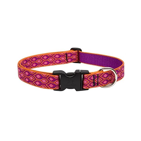 LupinePet Alpen Glow Adjustable Dog Collar for Medium and Large Dogs, 12-20-Inch LupinePet Alpen Glow Adjustable Dog Collar for Medium and Large Dogs, 12-20-Inch