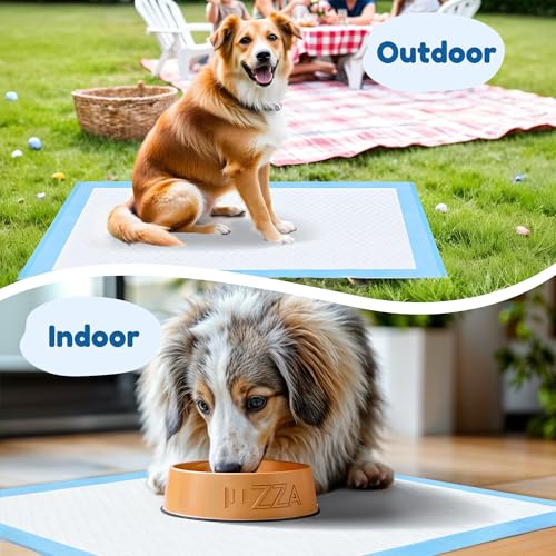 Super Absorbent Waterproof Dog and Puppy Pet Training Pad, Housebreaking Pet Pad, 40-Count Extra Middle-Size, 30’’X30’’, Blue - Thumbnail 6