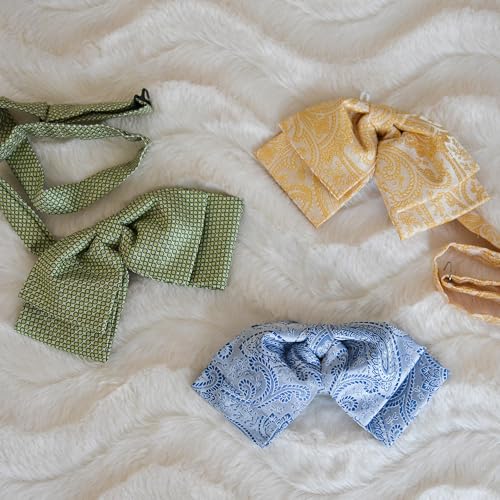 Image of tiemart Floppy Bow Tie