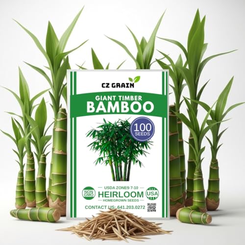 Giant Timber Bamboo Seeds (100+ Seeds) Fast Growing Tall Bamboo for Privacy Screens Windbreak Landscaping Dense Clumping Bamboo for Outdoor Garden Planting