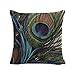 INSHERE Rustic Farmhouse Peacock Feather Throw Pillow Cover Cotton Linen Oil Paniting Feathers Decorative Cushion Covers Pillowcase Cushion Case for Sofa Bedroom Car 18 x 18 Inch (Peacock Feather)