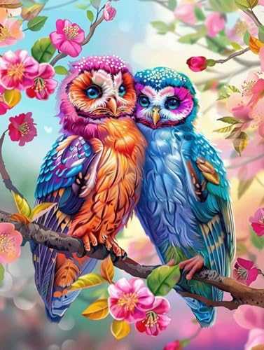 Peinture par numéro hibou 100x130cm avec toile et peinture acrylique