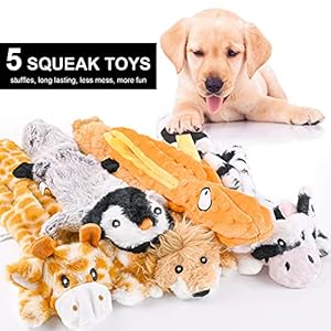 CITAMAMA Giochi per Cani con Squeak (5 Pezzi), Giocattoli Interattivi Senza Imbottitura per Addestramento Cani di Taglia Piccola e Media
 - immagine 2
