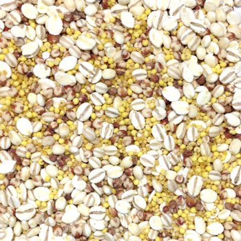 米・雑穀・粉類 B Grade Blended Rice 1kg Amazon.co.jp: こめからだ