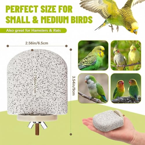 Image of 4 Pcs Lava Ledge Bird Perch Platform Set for Cages | Fits Small /Medium Parrots (Budgies, Conures) | Volcanic Calcium Stone for Beak Grinding & Claw Trimming | Tool-Free Mount