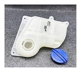 il serbatoio del radiatore del liquido di raffreddamento per mantenere il motore alla giusta temperatura in una varietà di condizioni e risolvere il problema dello stallo del motore dovuto al surriscaldamento.