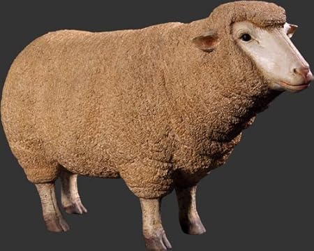 Amazon Co Jp アニマルビッグフィギュアシリーズ メリノ種の雌ヒツジ 羊 等身大フィギュア ホーム キッチン
