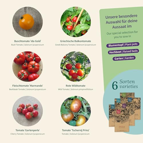Magic Garden Seeds - Balkon-Tomaten Saatgut-Box: 6 kompakte Sorten für Topf, Terrasse & Hochbeet - aromatisch, ertragreich & ideal für Stadtgärtner:innen