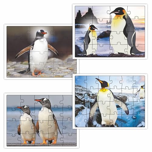 Image of Ankit Toys & Games Fix 'n' Learn Penguins Jigsaw Puzzle for Kids, Educational and Learning Toy for Kids Age 3 and Above, Boost Memory Skills, 72 Pieces Transport Puzzles (Set of 4 Puzzles in Box)