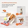 Dog Puzzle Toys for IQ Training