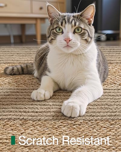 Image of Handmade Rectangular Jute Carpet Beige - Natural Fiber Rug for Living Room & Bedroom | Eco-Friendly & Durable | Size 4x6 Feet, Color- Beige