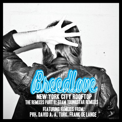 New York City Rooftop (The Remixes Pt. 2) [Team Youngstar Remixes] by ...