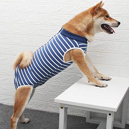 Combinaison de récupération pour Chien,vêtements chirurgicaux pour Chiot Anti-léchage Chaton Gilet Post-opératoire Convient pour plaies ou des Maladies de la Peau Sevrage(S, Stripe Blanc Bleu)