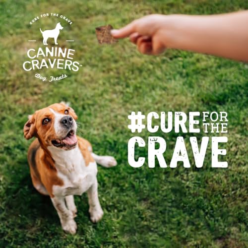 Canine Cravers Single Ingredient Dog Treats – Premium Lamb Fillets - Human Grade Air Dried Hypoallergenic Pet Food thumb #5