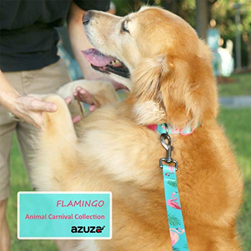 Azuza Dog Collar And Leash Set, Adjustable Dog Collar With Matching Leash For Small Dog, Green & Pink Elegant Flamingo Puppy Collar Leash Combo Set #TOP7