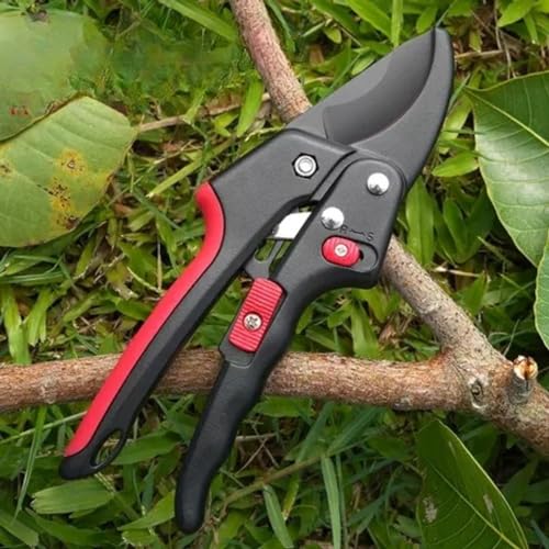 Encuentra reviews de Tijeras de poda ergonómicas favoritos de las personas. 26 Imagen adicional
