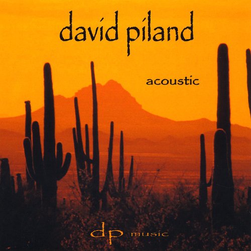 David Piland Accoustic