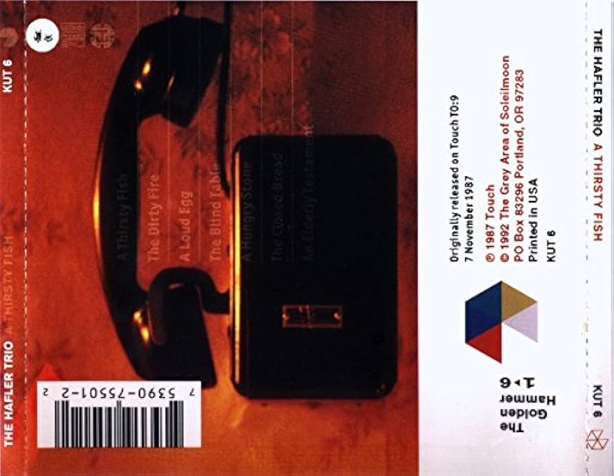 THE HAFLER TRIO ／ A THIRSTY FISH 51102LuuzHL._UF894,1000_QL80_.jpg