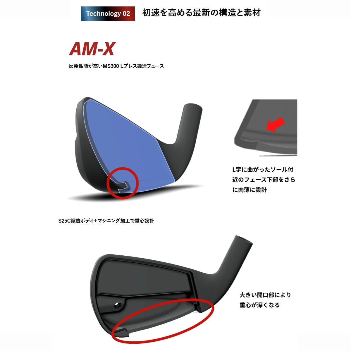 Amazon.co.jp: ROYAL COLLECTION(ロイヤルコレクション) AM-X IRON