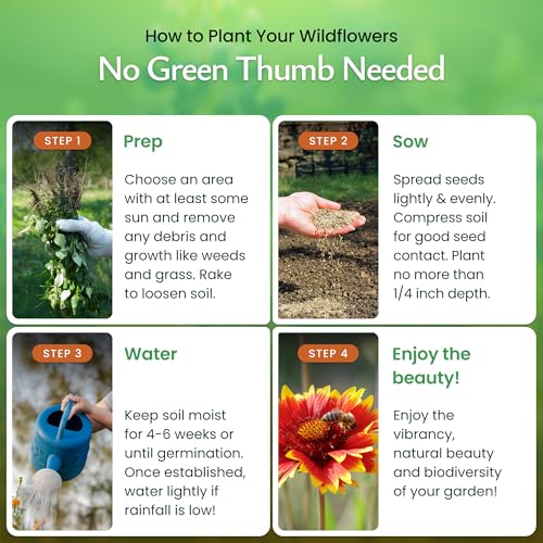 Created By Nature Drought Tolerant Wildflower Seed Mix, 15 Varieties, 67,000 Seeds by Created By Nature - Image 4