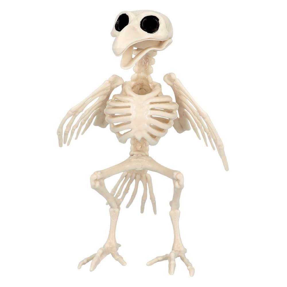 Boland 72406 - Bird Skeleton, Size 20 cm, Movable Mouth, Dummy Made of Plastic, Decoration for Halloween, Carnival or Theme Party