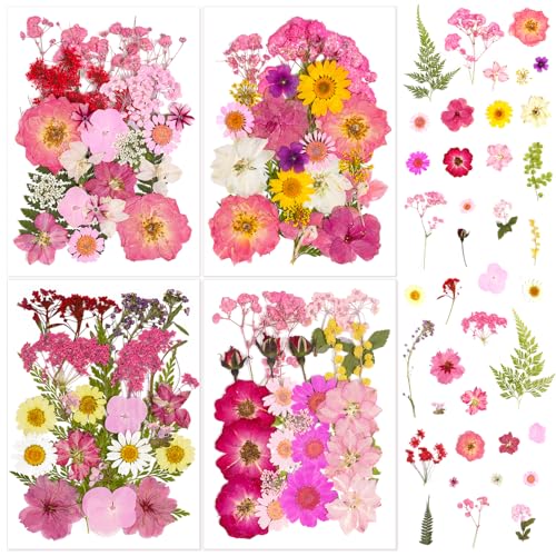 Flores prensadas secas para manualidades, estilo rosa miniatura 1
