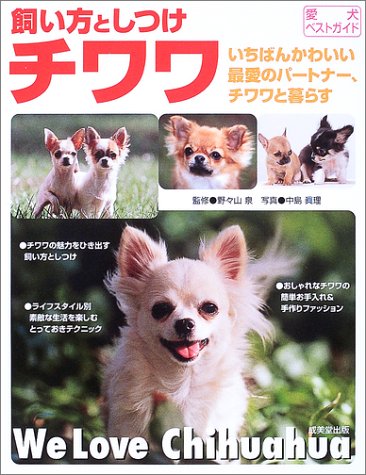 チワワ: 飼い方としつけ いちばんかわいい最愛のパートナー、チワワと