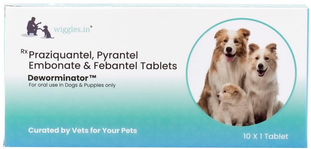 Deworminator Deworming Tablet for Dogs Cats, 10 Tablets - DeWormer Medicine Adult Senior Pets - Protects from Roundworm, hookworm, Tapeworm & Whipworm