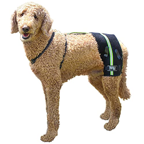 Walkin' Hip-EEZ Dog Hip Brace Support Harness System | Provides Joint Support for Dogs with Hip Dysplasia and Other Conditions Affecting The Hip Joint.