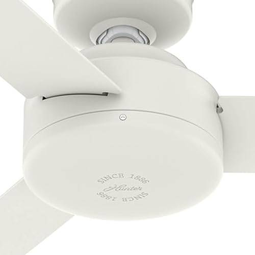 Miniatura 4 de Hunter Ventilador de techo interior contemporáneo con acabado blanco mate de 52 pulgadas con 3 aspas (renovado)