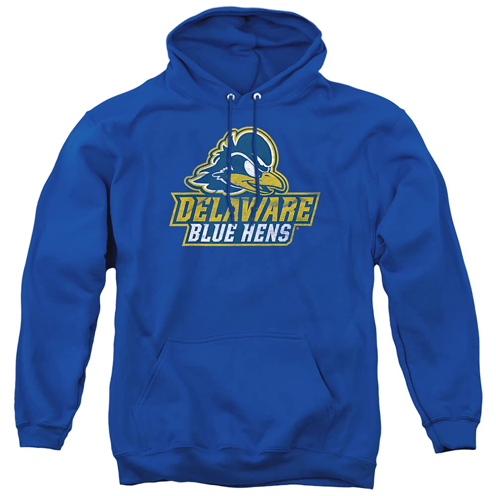 LOGOVISION Official Collegiate Distressed Primary Logo Adult Pullover Hoodie Collection — view 252