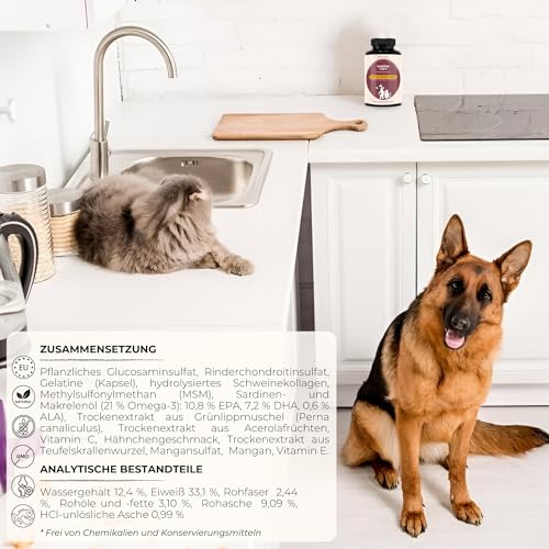 lamina care - Gelenk-Kapseln für Hunde – Mit Grünlippmuschel, Glucosamin & MSM – Natürliche Unterstützung für Gelenke, Hüften & Beweglichkeit - 180 Kapseln