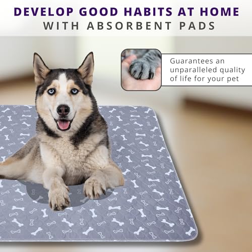 Image of MarV 2-Pack Washable Pee Pads for Dogs Non Slip Puppy Pads , Ultra-Absorbent Mats for Puppy Training, Multi-Use, Reusable Puppy Pads (Grey, M)