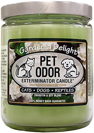 Pet Odor Exterminator Candle