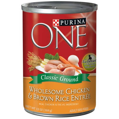 ONE Chicken and Brown Rice Adult, 13 Oz