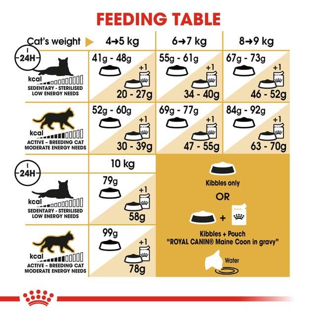 Royal Canin Maine Coon Adult | 400 g | Trockenfutter für Katzen | Angepasst auf den Bedarf von Maine Coon Katzen