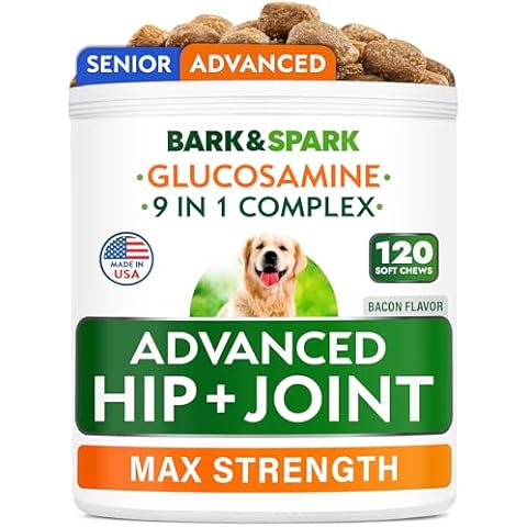 BARK&SPARK Senior Advanced Glucosamine Chondroitin for Dogs - Hip Joint Pain Relief Pills - Old Dog Joint Supplement Large & Small Breed - Hip Joint Chews Joint Health Care Vitamin Treats - 120Ct Cover