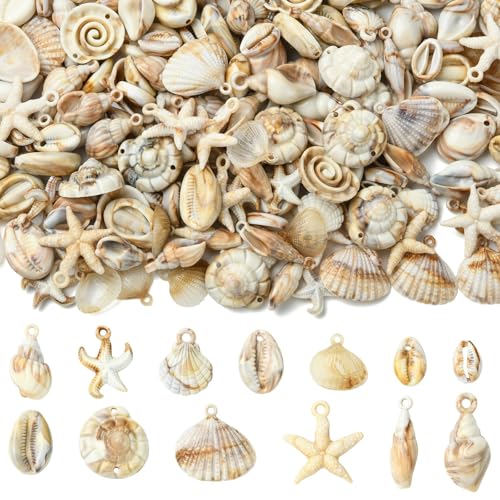 Breloques en acrylique imitation conque pour fabriquer des bijoux marins légers sans casse
