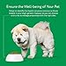 Dna My Dog – Essential Breed ID Test | Accurate DNA Analysis of 350+ Dog Breeds | Easy-to-Use Kit | Non-Invasive Cheek Swab | Results in 2 Weeks | Includes DNA Certificate & Detailed Breed Report