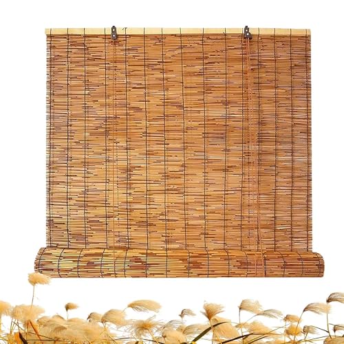 | Ռ ډB 悯̃J[e  50 55 60 65 70 75 80 85 90 95 100 105 110 115 120 125 130 140 145 150 160 165cm VR̈̃J[e   /hA/peB