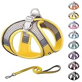 AIITLE Summer Soft Dog Harness and Leash Set - Pet Supply No Pull, Step in Adjustable Dog Harness wi