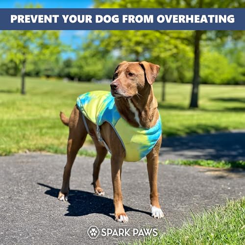 Image of Spark Paws Dog Cooling Vest - SPF 50 UV Sun Protection - Summer Heat Relief Gear for Dogs, Lightweight, Evaporative Cooling - Dog Anxiety Relief Vest During Hot Days - Tropical Storm, Large