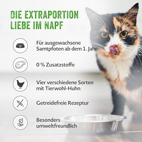 MERA Cats Adult Nassfutter Multibox, für ausgewachsene Katzen, getreidefrei und nachhaltig, Katzenfutter mit hohem Fleischanteil aus Huhn, Rind, Ente und Lachs, 12 x 85 g