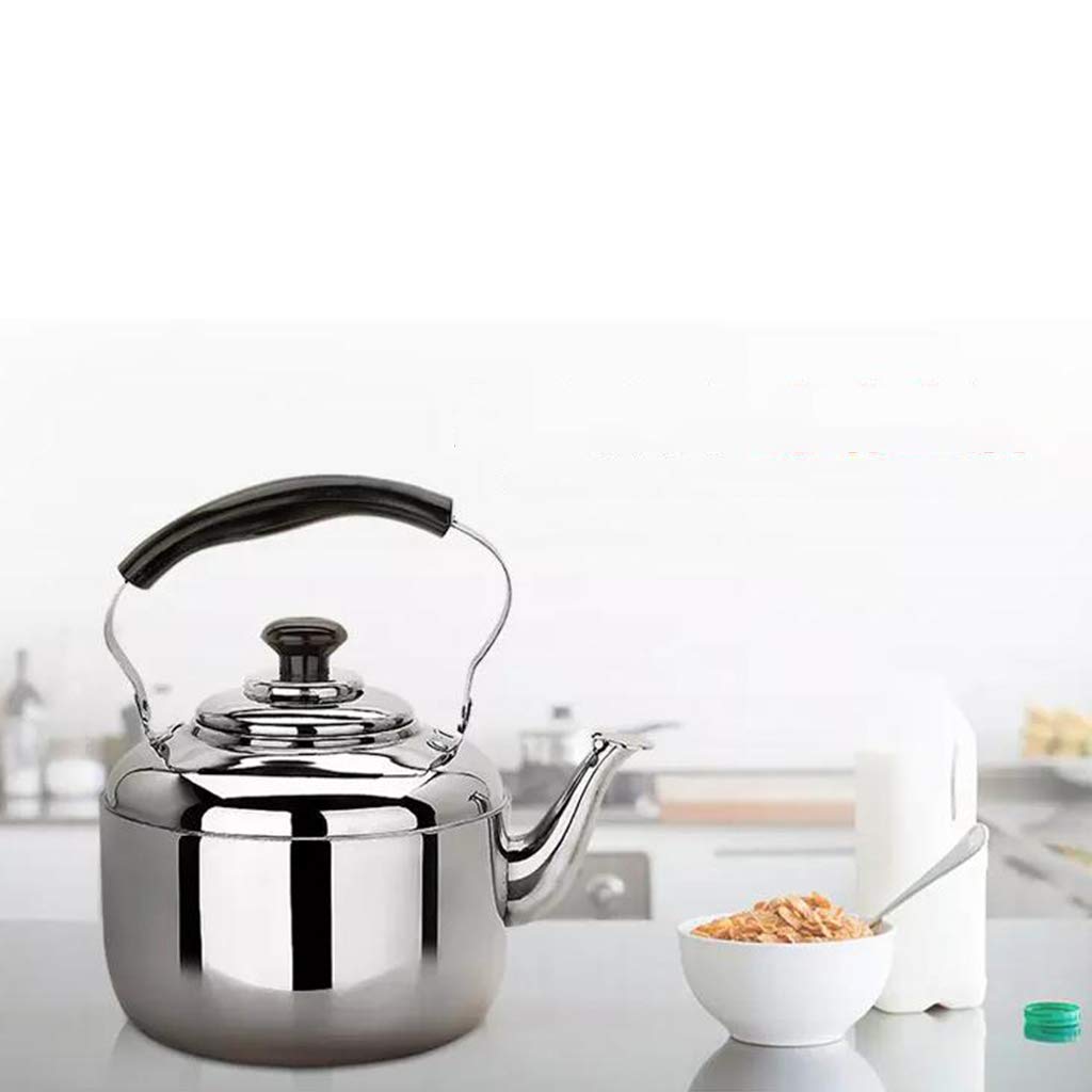 Sharplace 1 Pièce Bouilloire en Acier Inoxydable avec Poignée, Bouilloire pour l'eau, Thé, Expresso, Lait, 6L