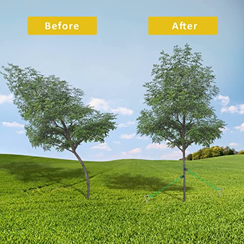 Tree Stake Kit, Heavy Duty Spiral Tree Stakes for Leaning Trees, Straightening Solution for Young Trees in Bad Weather