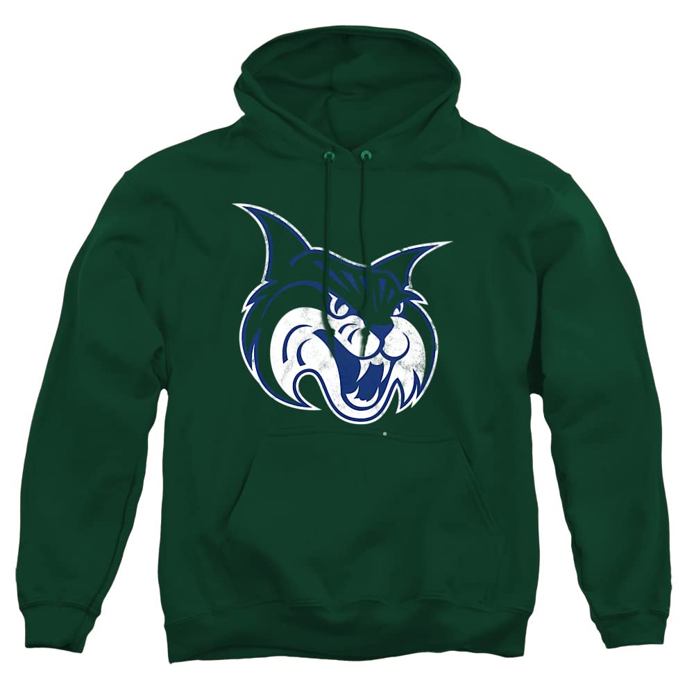 LOGOVISION Official Collegiate Distressed Primary Logo Adult Pullover Hoodie Collection — view 45
