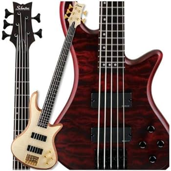Amazon.com: Schecter Stiletto Custom-5 Electric Bass (5 String